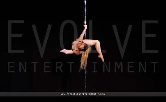 50-Shades-Pole-1