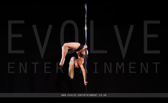 50-Shades-Pole-3