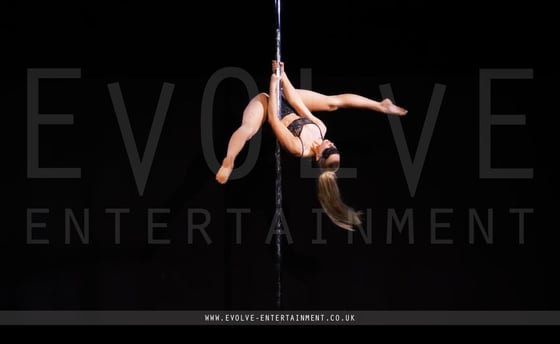 50-Shades-Pole-6