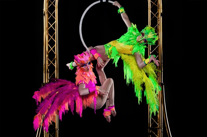 Aerial-Bird-Cage-Thumbnail