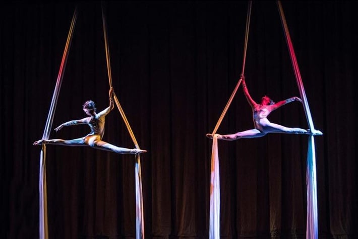 Aerial-Grace--Fern-and-Amelie-THUMB