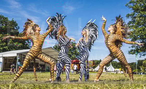 Animal-Interactive-acro-16