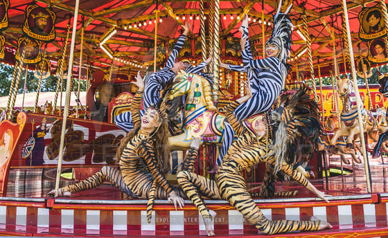 Animal-Interactive-acro-17