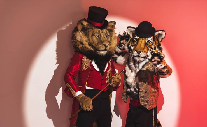 Big Cats Circus 1-3