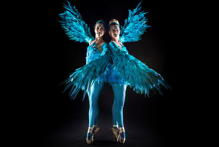 Blue Bird Ballerinas T