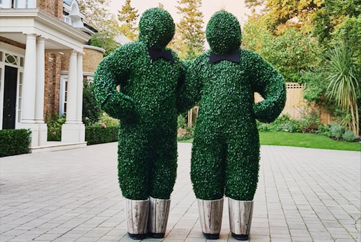 Bush-Boys THUMB