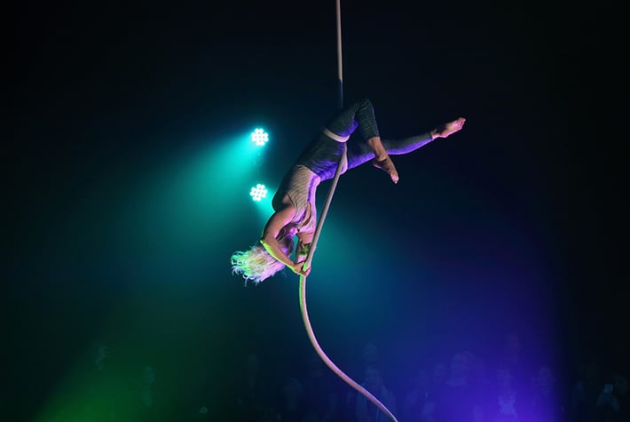 Contemporary Aerial Rope T new