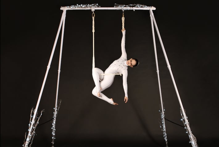 Enchanted Winter Aerial Rig T