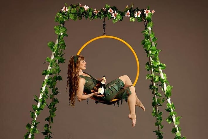 Enchanted-Aerial-Rig-THUMB