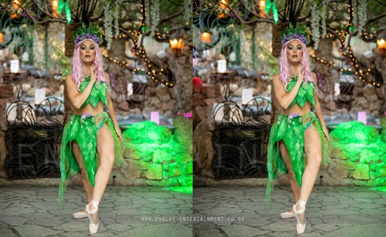 Fairytale 8