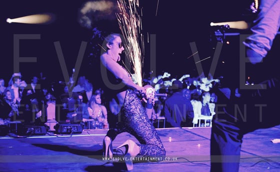 Festival Entertainment 2