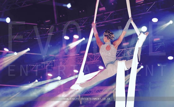 Festival Entertainment 6