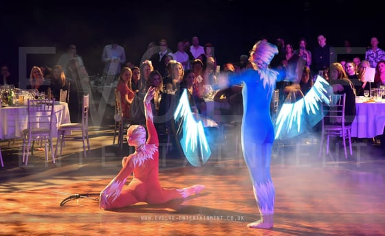 Fire-and-Ice-Circus-Poi-and-Dance-Show-1