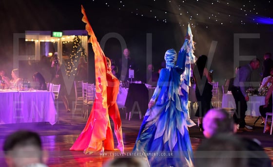 Fire-and-Ice-Circus-Poi-and-Dance-Show-3