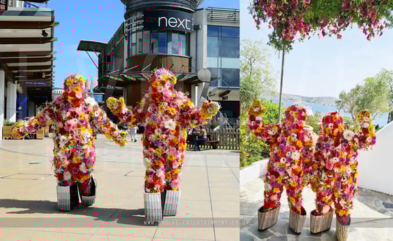 Flower-Bushes-3-1