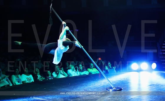Flying-Pole-1