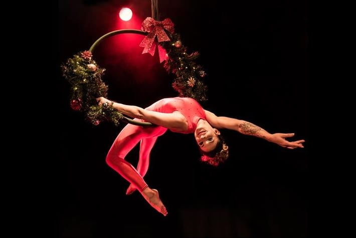 Holly-Wreath-Aerial-Hoop-Thumb