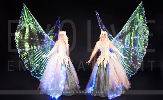 Ice Fairies 1
