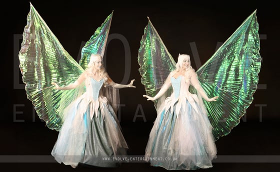Ice Fairies 2