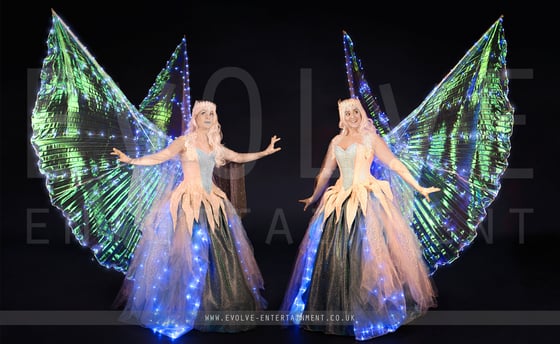 Ice Fairies 3