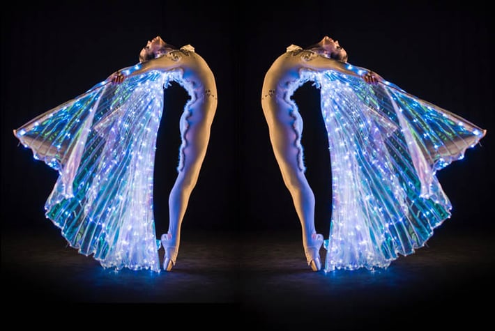LED Winged Ballerinas THUMB