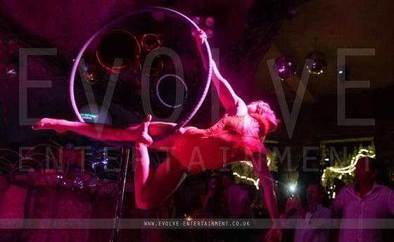 Lust Freestanding Aerial Hoop 4