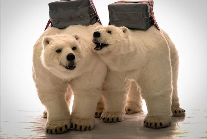 Polar-Bear-Thumbnail