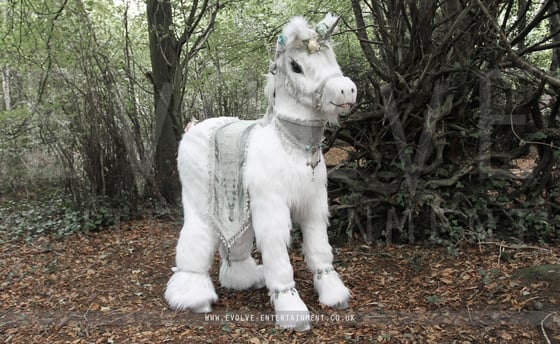 Real-Life-Unicorn-Character-3