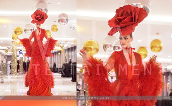 Red Carpet Rose 2