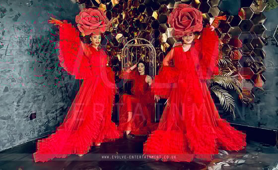 Red Rose - With AerialistAcrobat 1