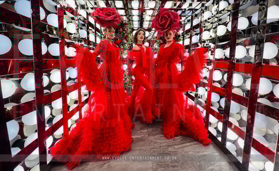 Red Rose - With AerialistAcrobat 2