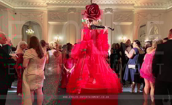 Red Rose Violin