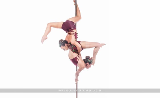 Rose-Petal-Pole2