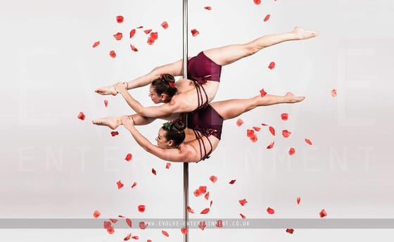 Rose-Petal-Pole4