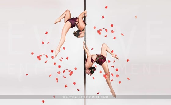 Rose-Petal-Pole5