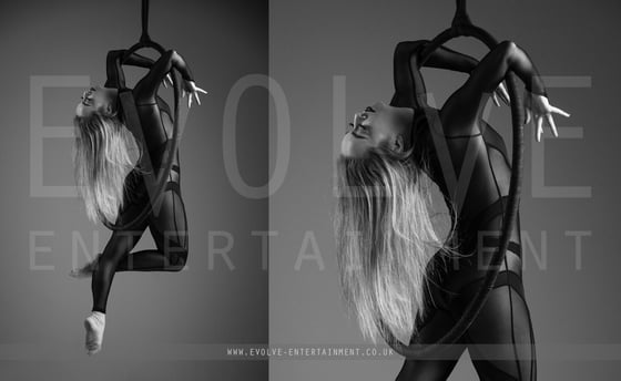 Sheer Aerial Hoop 1