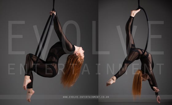 Sheer Aerial Hoop 3
