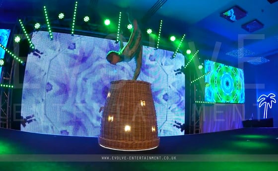 Snake Basket Carnival Show 2