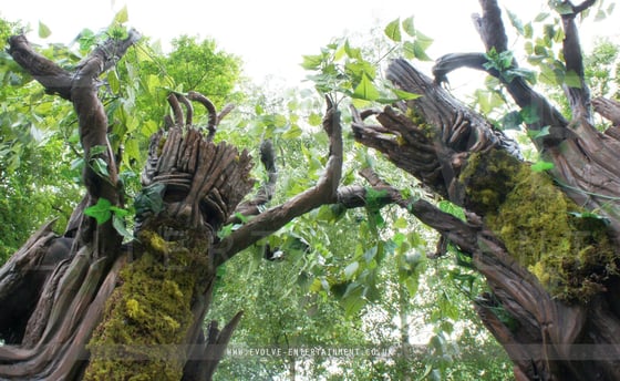 Stilt-Tree-Walker-4-1