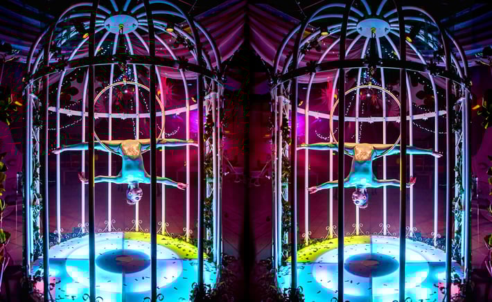 THUMB LED Birdcage - 3 