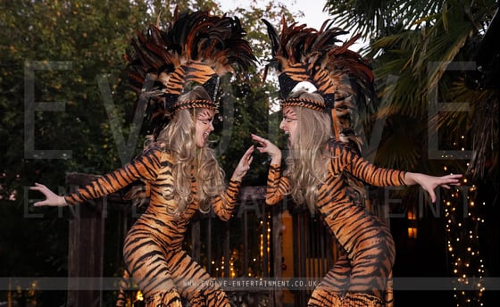 Tiger-Stilt-Walkers-2