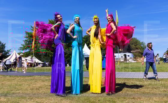 Tropical Bird Stilts - 1-2