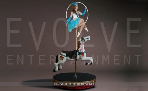 Vintage-Carousel-aerial-freestanding-1