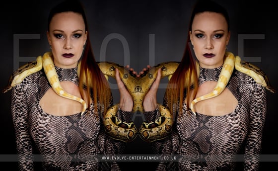 Voguing-Snake-1
