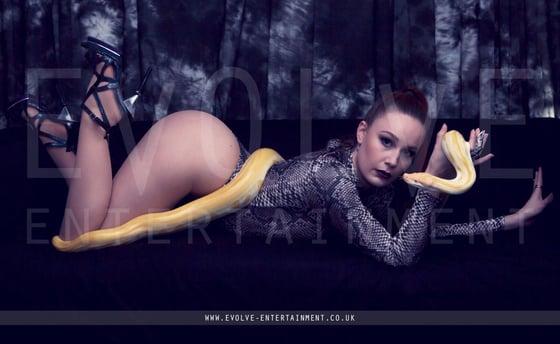 Voguing-Snake-2